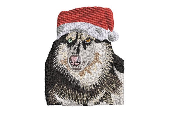 Siberian Husky in Santa Hat